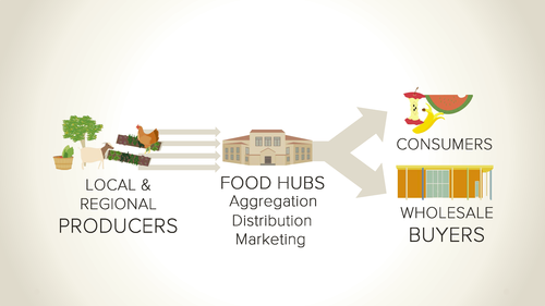 food hub infographic