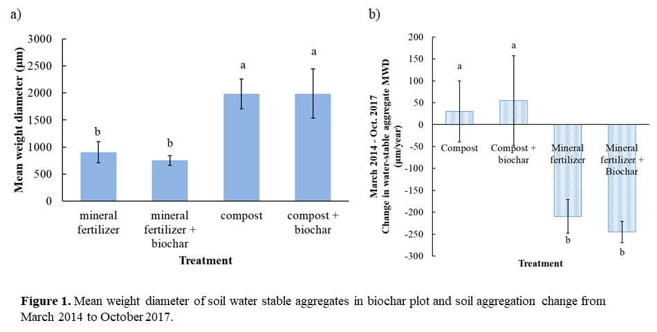 Biochar and aggregation