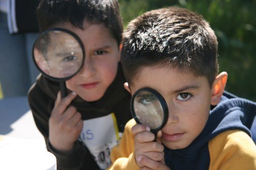 magnifying glasses