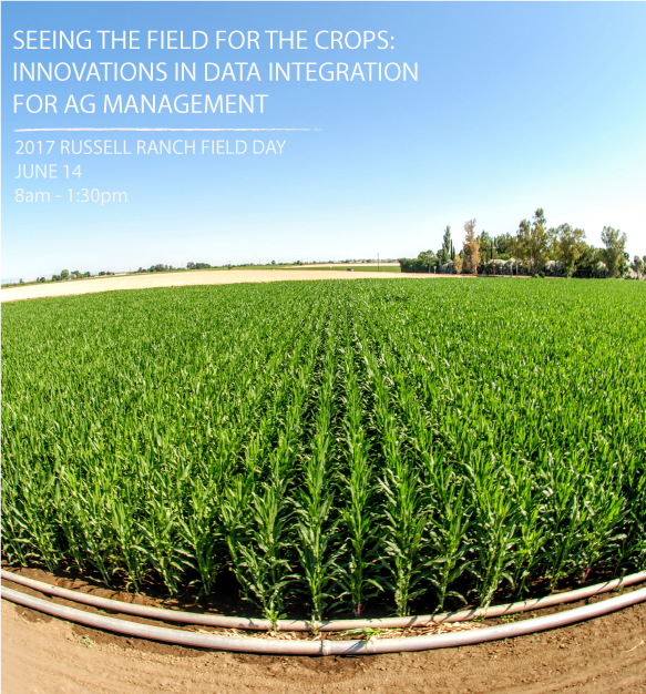 field day flier