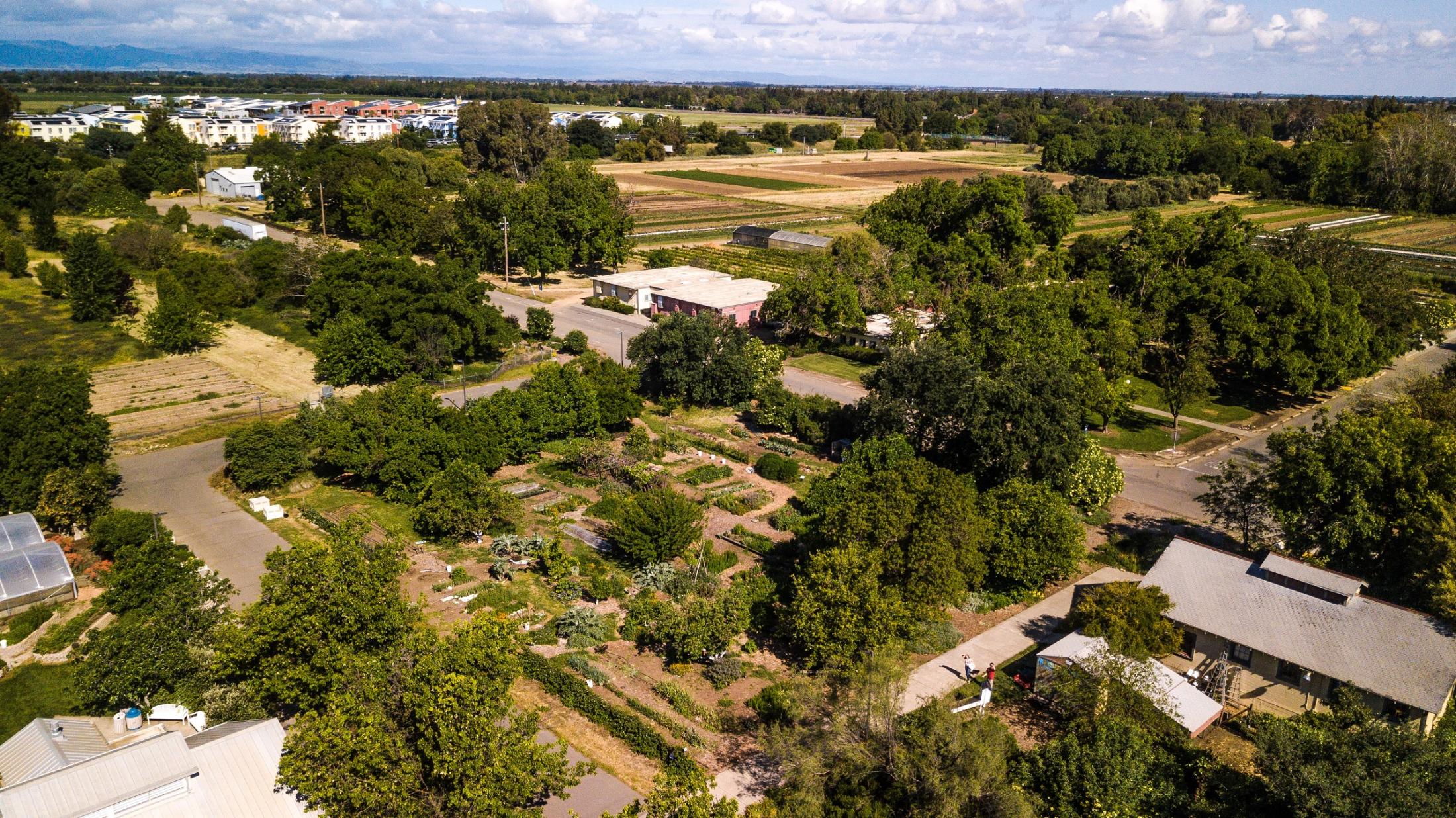 Aerial of Student Farm