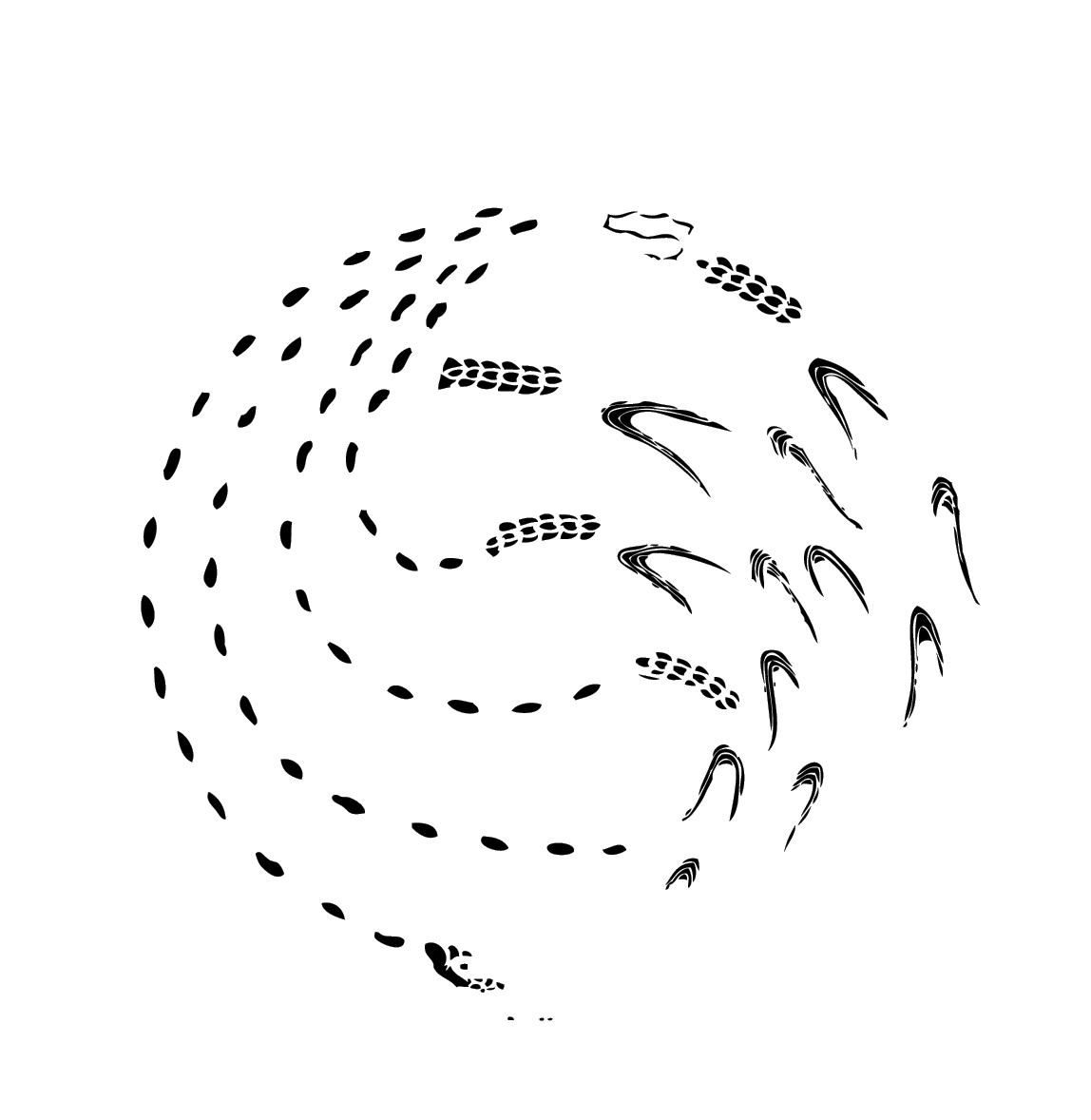 Student Farm  Logo