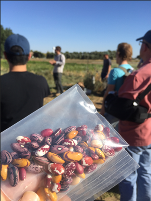 Student holding up seeds to the camera