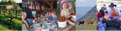 Photo stitch of agriculture farm activities