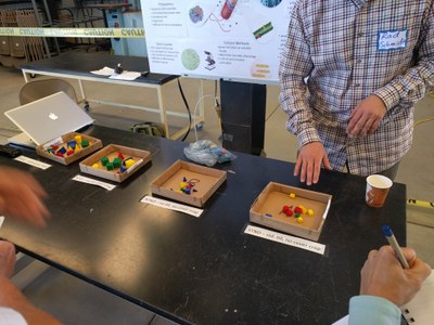 Radomir Schmidt explains microbial biodiversity