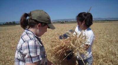 Students with hay