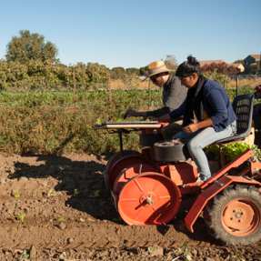 Students on tractor