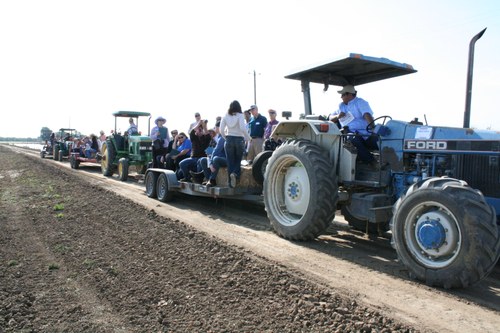 Tractor