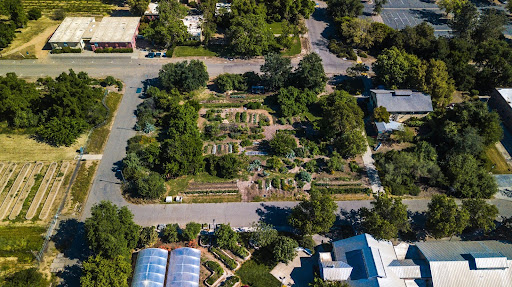 Aerial photo of UC Davis Student Farm Ecological Garden