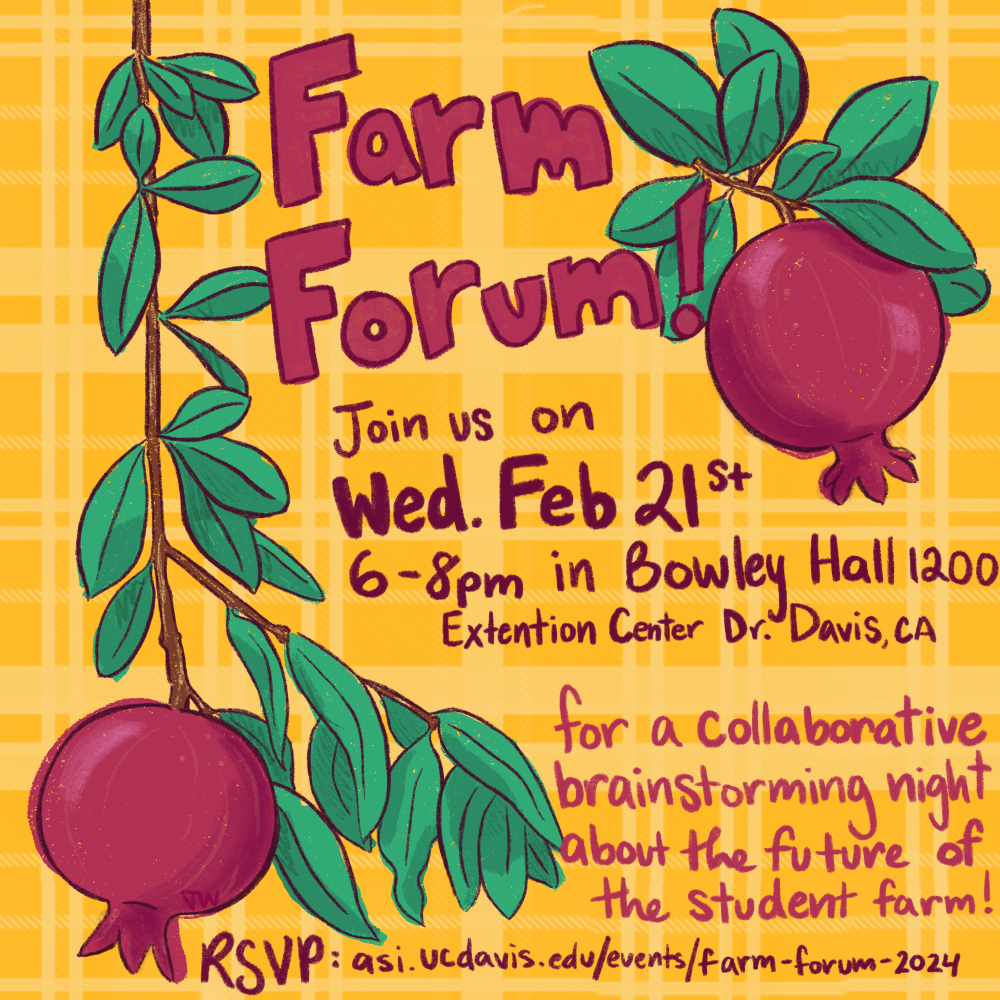 Farm Forum Flyer 2024 with pomegranate illustration