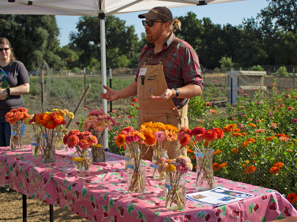 Will talking about zinnia breeding
