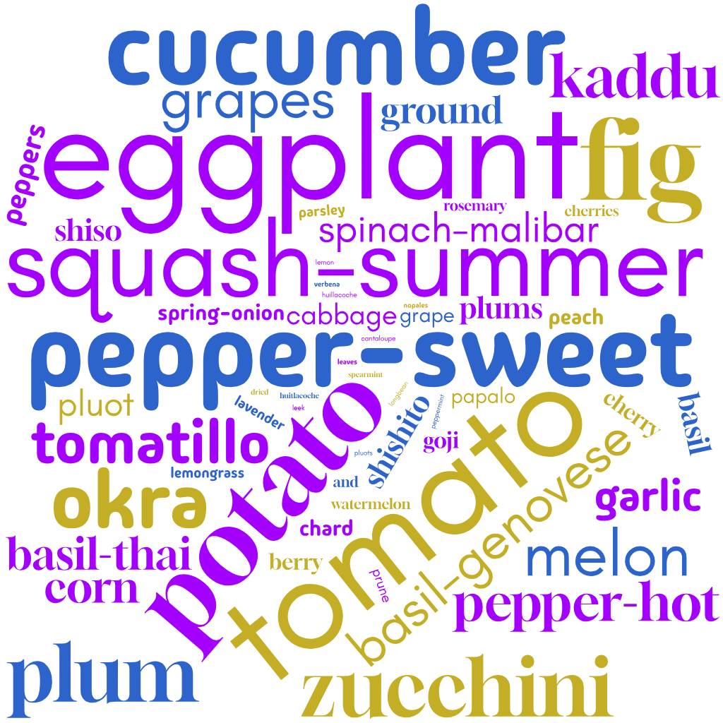 a word cloud collage of the many varieties of produce distributed over the summer by Fresh Focus