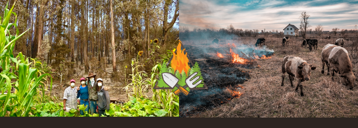 Fires Research Banner