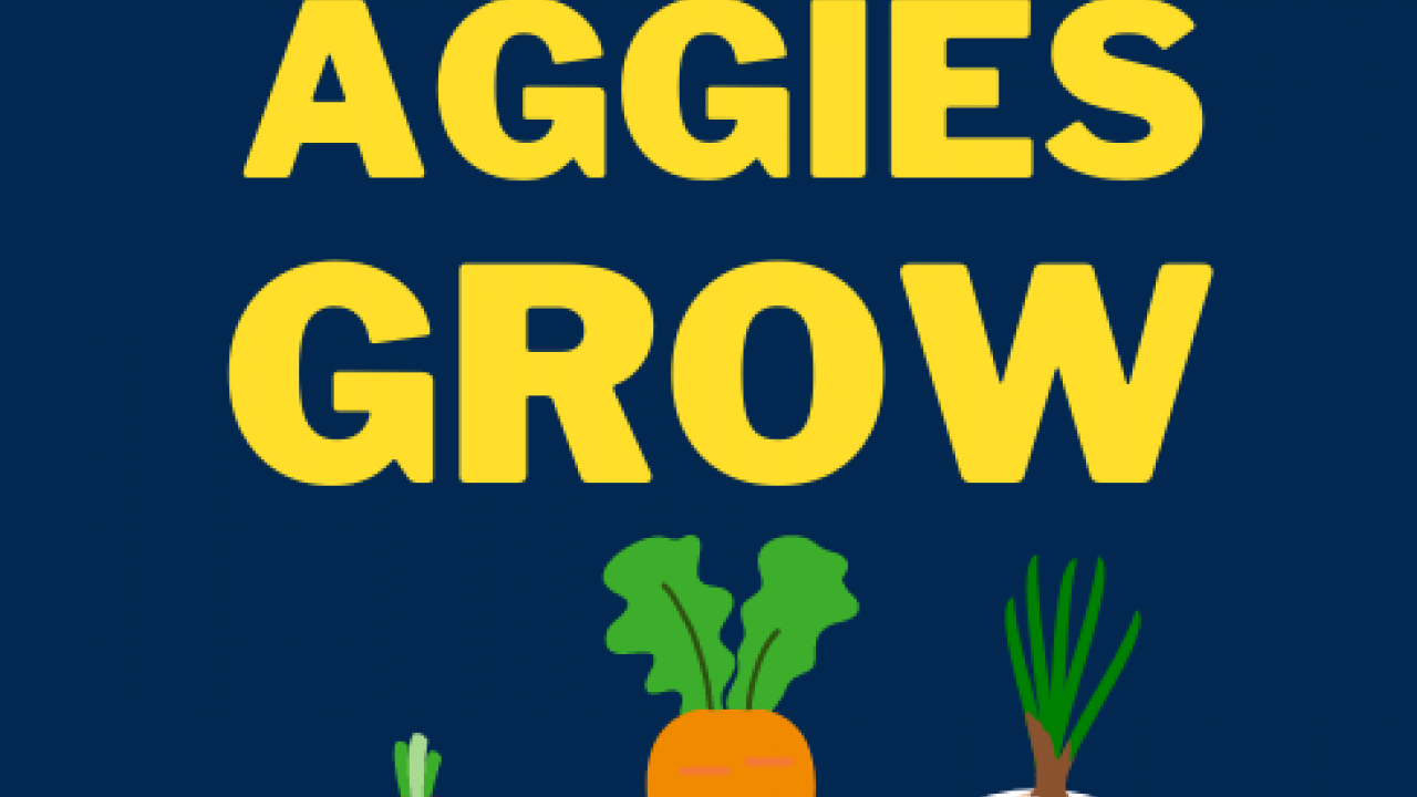 Aggies Grow Veggies logo
