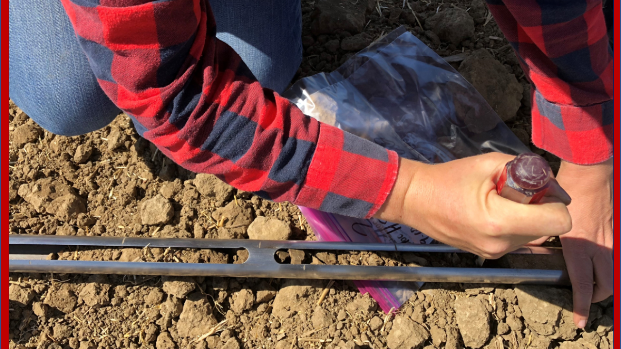 Researchers monitor soil carbon levels