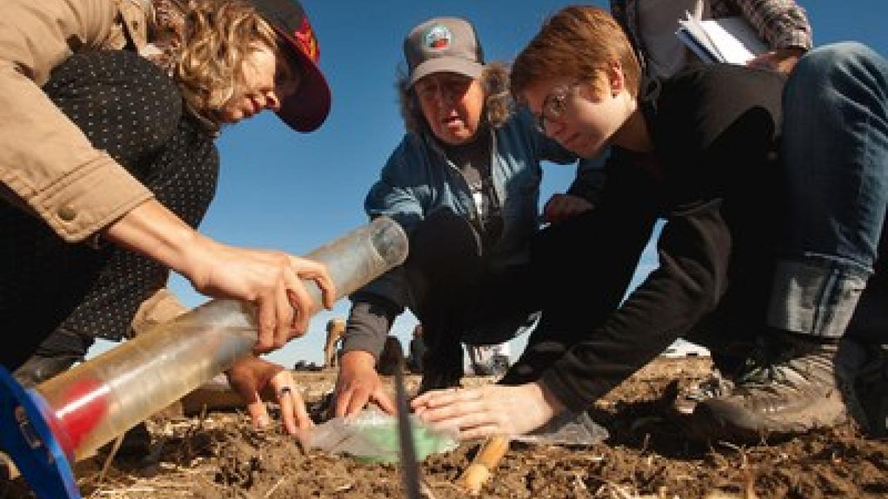 Russell Ranch director Kate Scow works with students to collect soil samples for testing. Photo from UC Davis Science and Climate website.