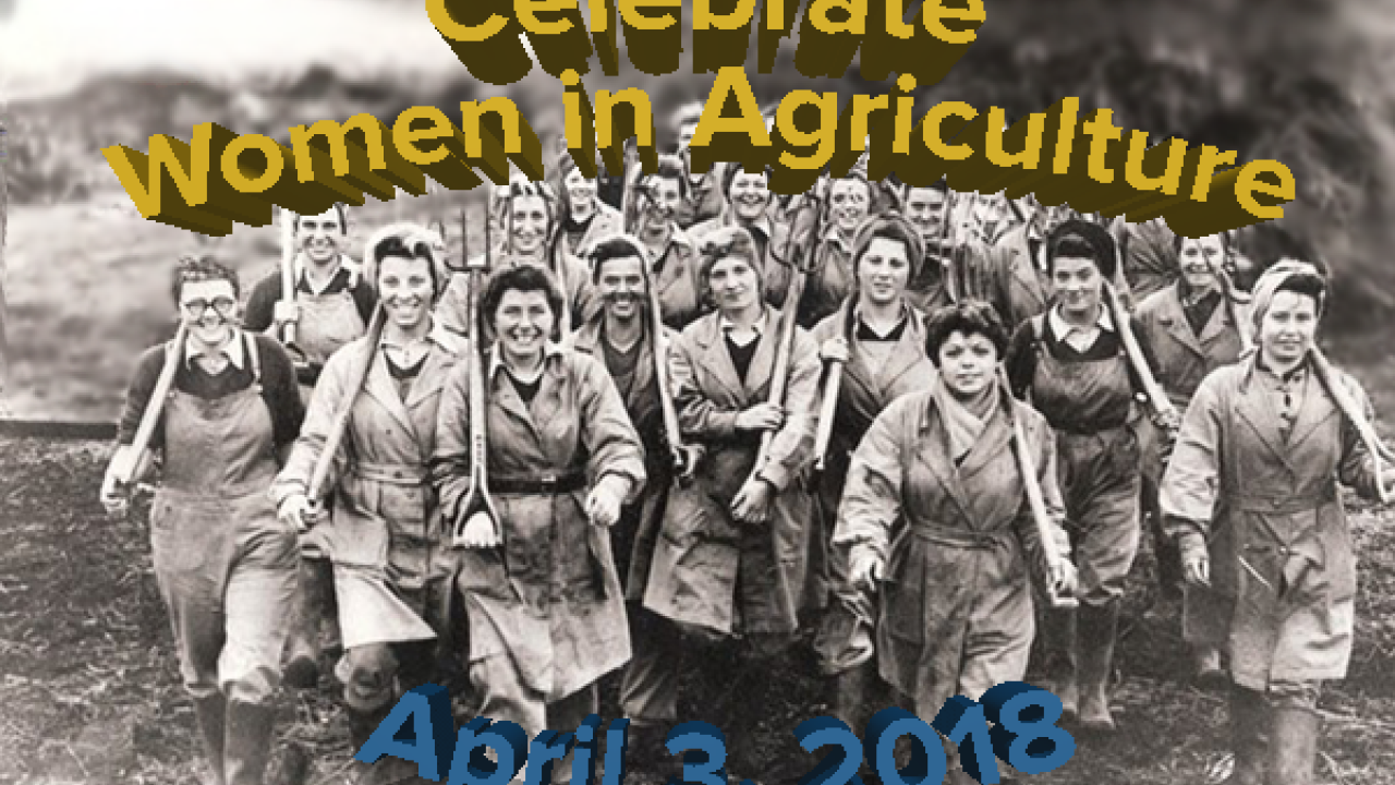 Women in agriculture