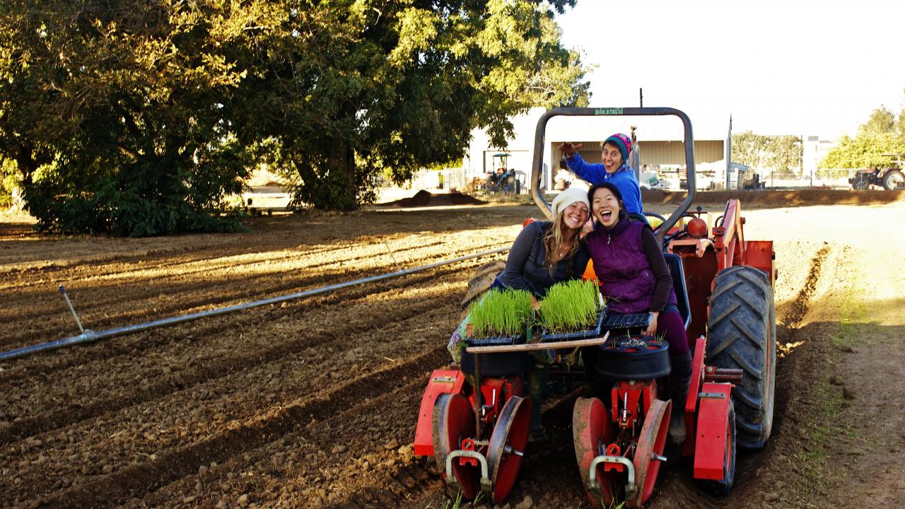 Girls on a tractor