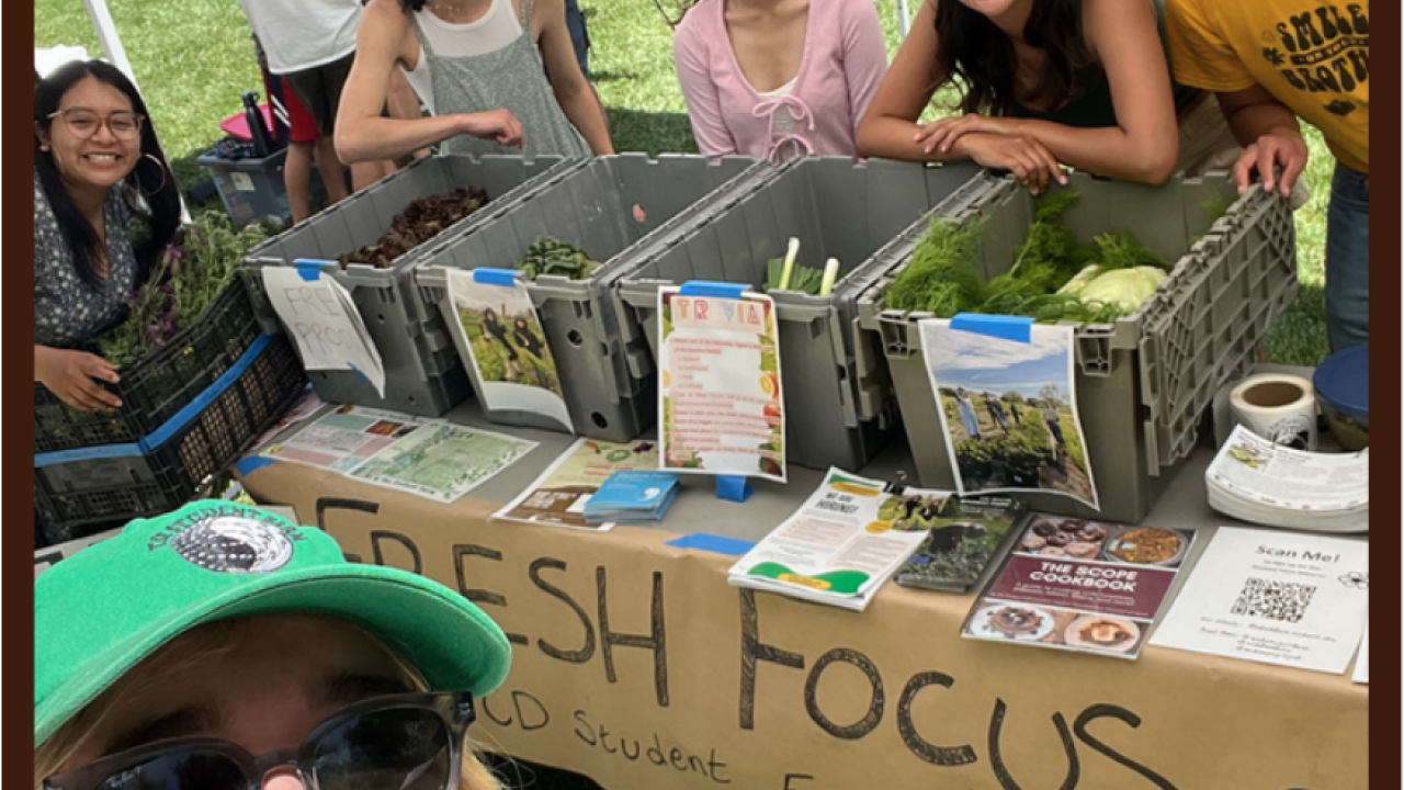 Fresh Focus Tabling at Whole Earth Festival