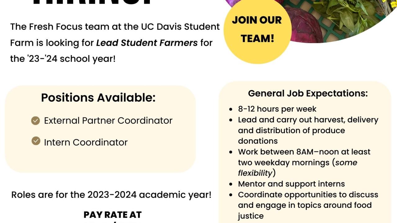 Hiring Flyer