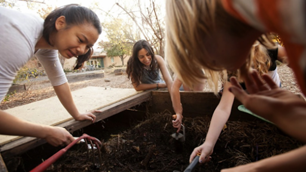 Garden educators leading activities