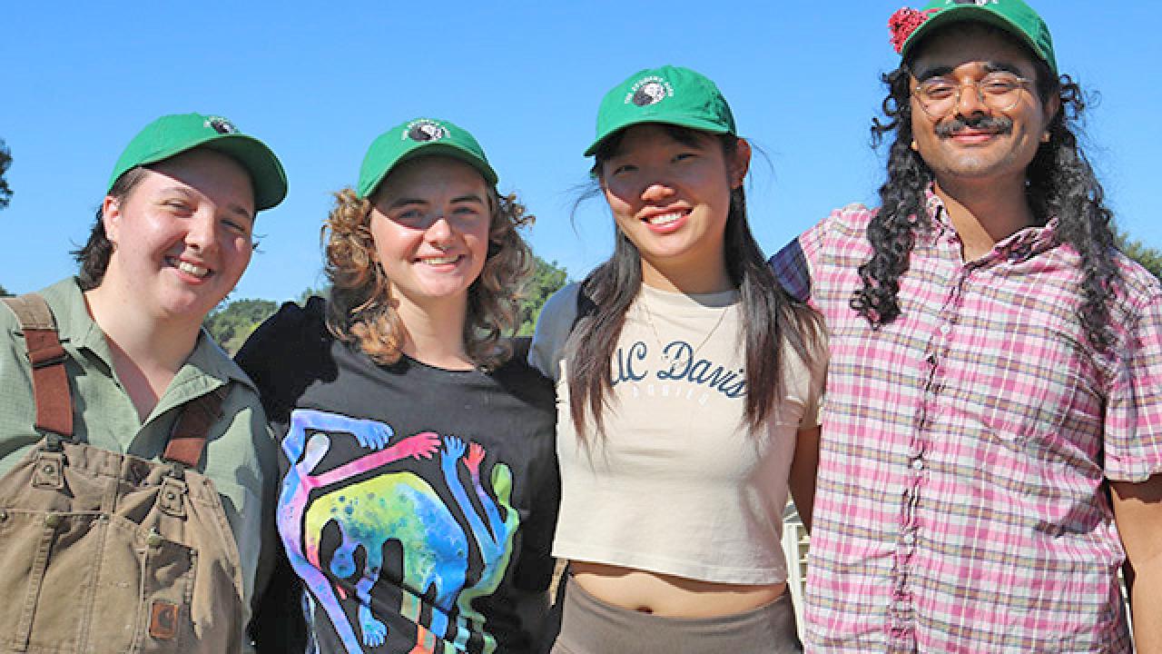 SCOPE gives students hands-on experience in breeding plants and testing them in the field ahead of commercial release. From left are a few of our student breeders: Grayson Tess, Larissa Fitzhugh, Emily Chung and Sriram Srinivas (Trina Kleist/UC Davis)