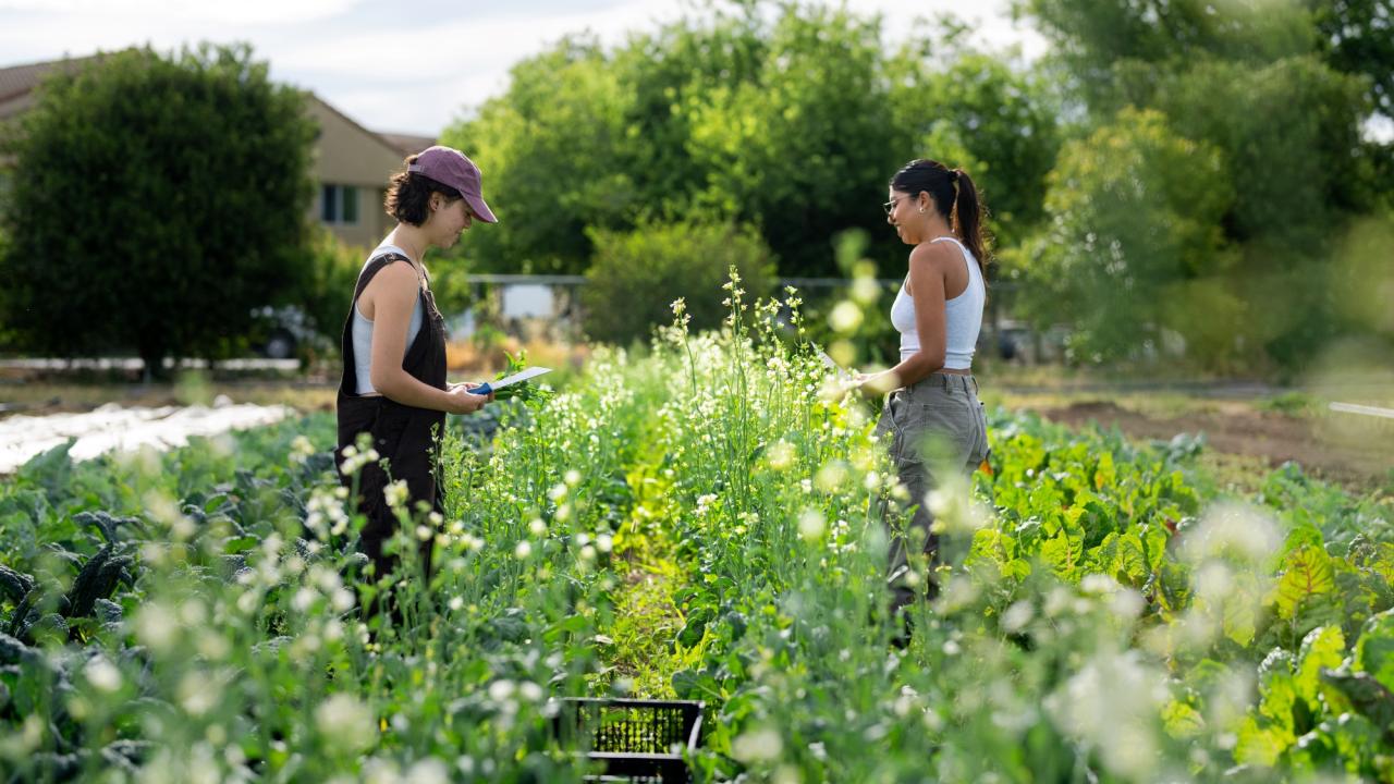 Student Farmers in Spring
