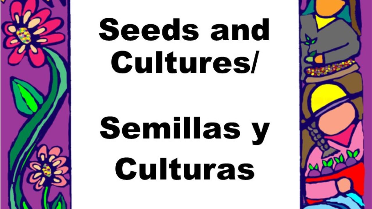 seeds and culture art