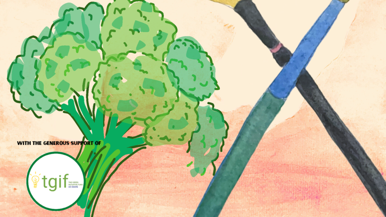 broccoli and paintbrushes