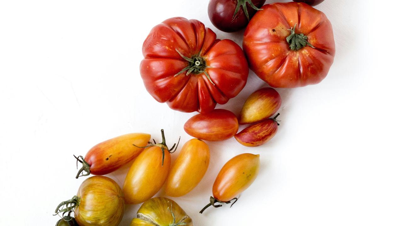 Tomatoes varieties - a rainbow of color