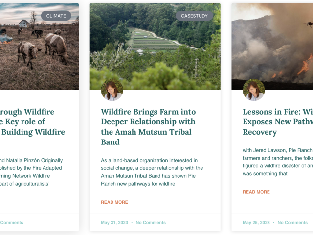 Workshops and Case studies screenshot