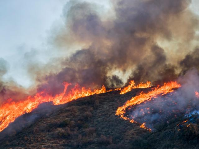 Photo of wildfire on hillside