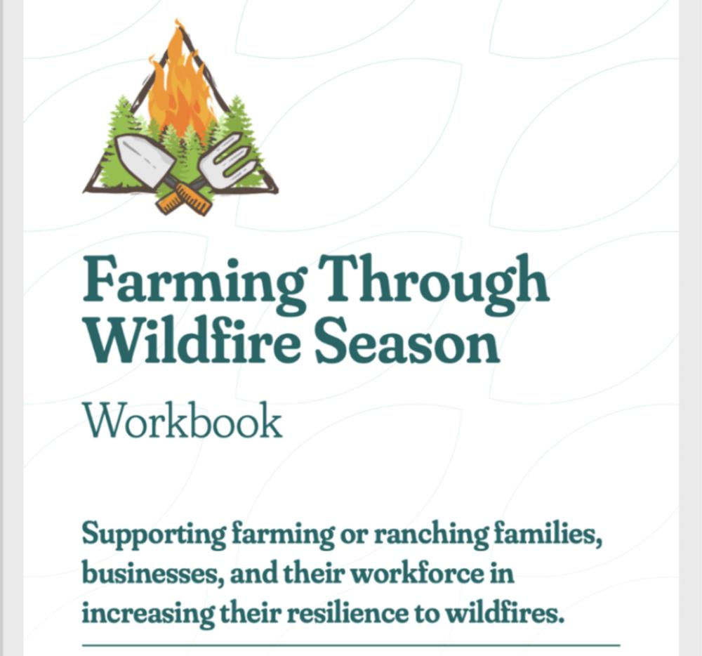 Workbook image
