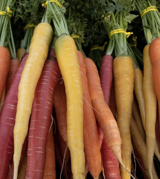 carrots