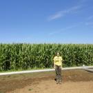 lady in field