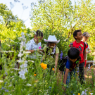 Kids exploring the Ecological Garden