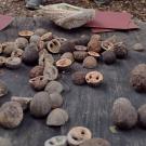 Walnuts for polishing