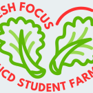 FF logo from report