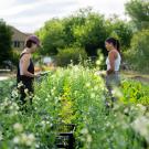 Student Farmers in Spring
