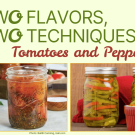 2 flavors 2 techniques