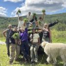 Anne Saxelby Apprentices