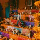 Ofrenda with Marigolds by Chris Luengas