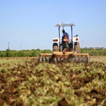 Farmer discing a field