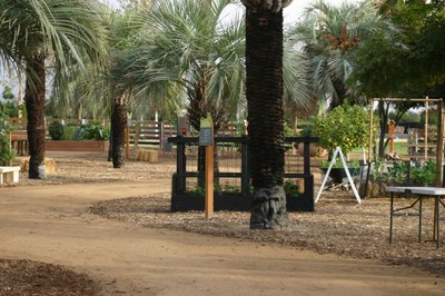 an urban farm with palm trees